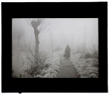 Marais de Rivery brouillard - 1931