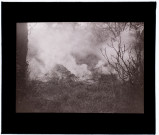 Effet de fumée dans un jardin - mars 1933