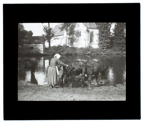 Mare à Vauchelles-lès-Quesnoy - octobre 1910