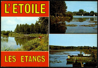 L'Etoile (Somme). Les étangs