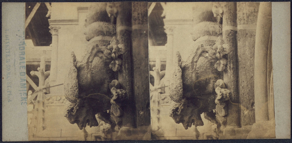 La cathédrale d'Amiens. Marmouset de la galerie basse - détail