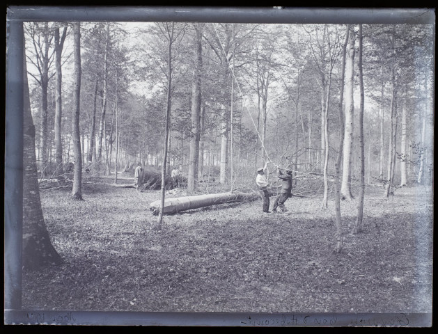 Excursion bois d'Hébécourt - mai 1901