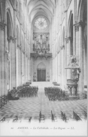 La cathédrale - Les orgues