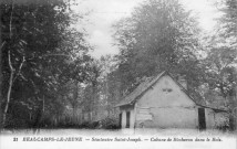 Séminaire Saint-Joseph - Cabane de bùcheron dans le bois