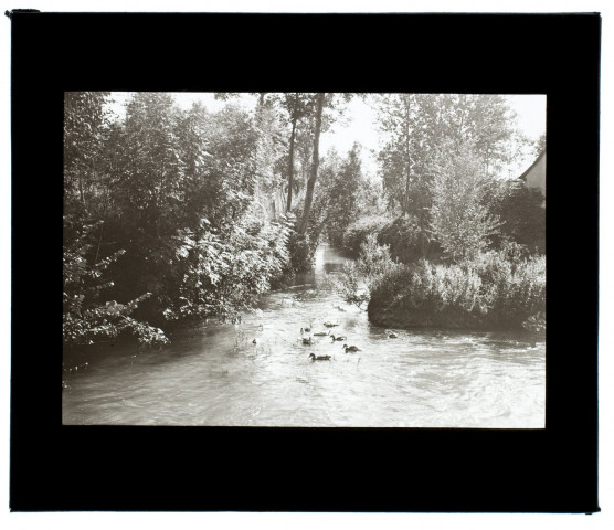 Mare à Fontaine-Bonneleau - 1931