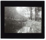 Marais de Berteaucourt-les-Thennes - 1908