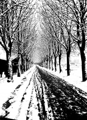 Paysage enneigé : une route