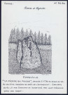 Eppeville : la « pierre qui pousse », menhir de grès - (Reproduction interdite sans autorisation - © Claude Piette)