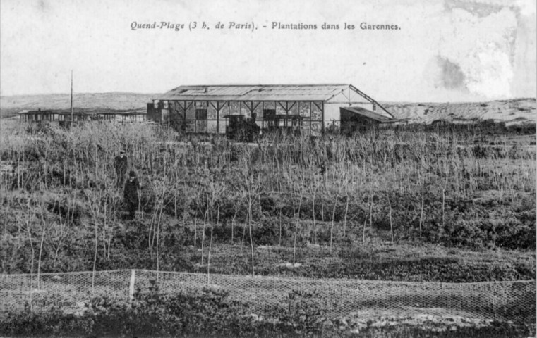 Plantations dans les Garennes