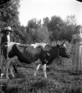 Portrait d'un couple de fermiers et leur vache