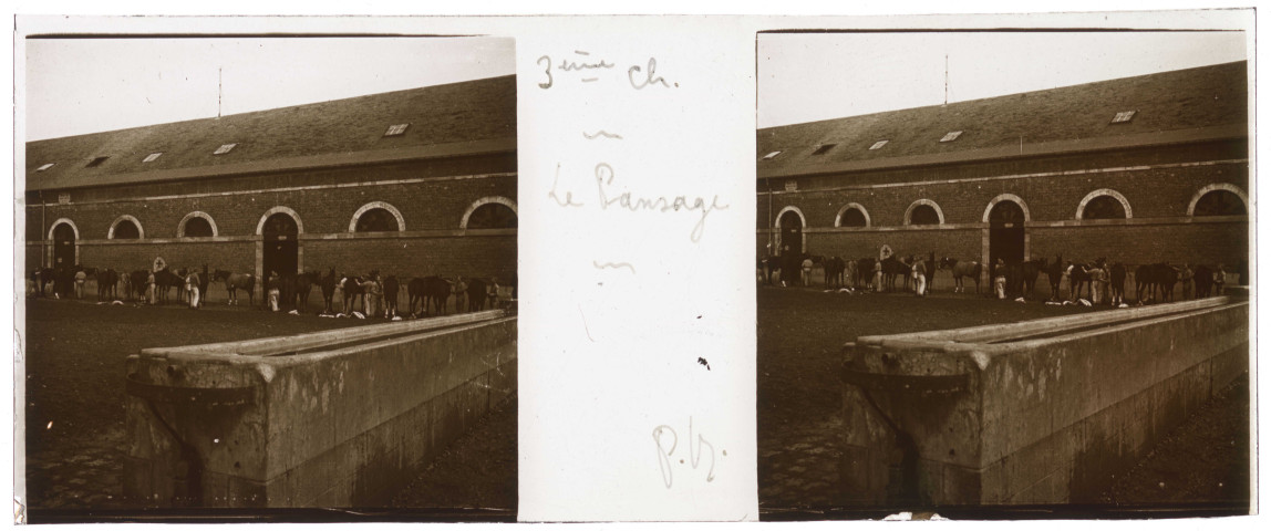 Abbeville. 3e chasseurs. Le pansage