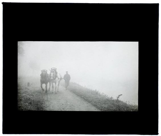 Effet de brouillard chemin de halage - octobre 1913