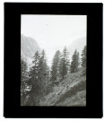 Suisse vue prise sur la route du lac Noir à Zermatt - juillet 1903