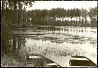 L'Etoile (Somme). L'étang Carré