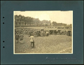 Près de Cappy (Somme). Vue d'ensemble des canons allemands pris par le 1er corps colonial