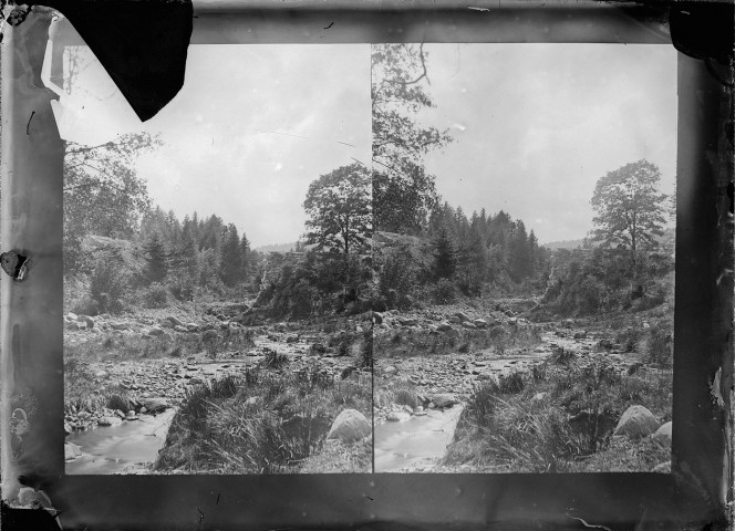 Photo d'une rivière en forêt