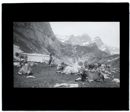 Chemin de Pralognan, descente dit l'Arcelin - juillet 1902
