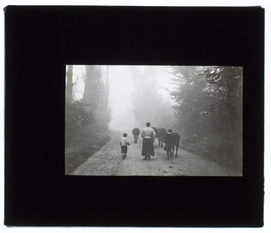 Effet de brouillard à Liercourt - octobre 1908