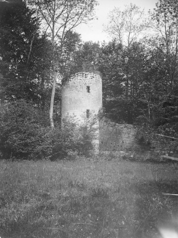 Vue d'une tour, 1899. Tour d'un ancien château en ruines envahi par la végétation