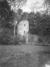 Vue d'une tour, 1899. Tour d'un ancien château en ruines envahi par la végétation