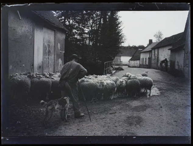 Moutons à Vers - mai 1904