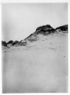 Les dunes de Merlimont
