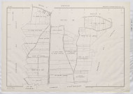 Plan du cadastre rénové - Hallu : section X