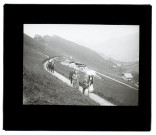 Suisse - Rochers de Naye - la descente - juillet 1903