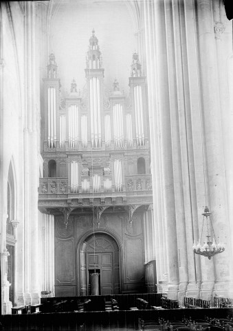 Cathédrale, l'orgue