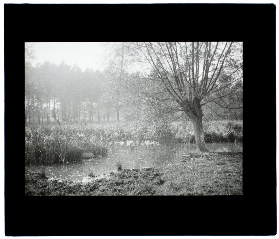 Marais de Lamotte-Brebière -octobre 1910