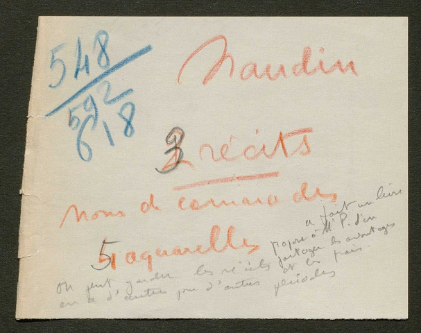 Témoignage de Naudin, Maurice (Brancardier) et correspondance avec Jacques Péricard