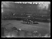 Tauromachie. L'arrastre : train de mules traînant le cadavre du taureau hors de la piste de l'arène (ruedo)